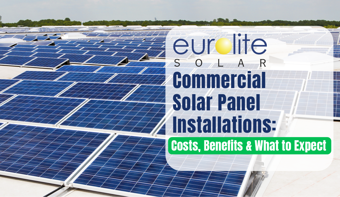 Commercial Solar Panel